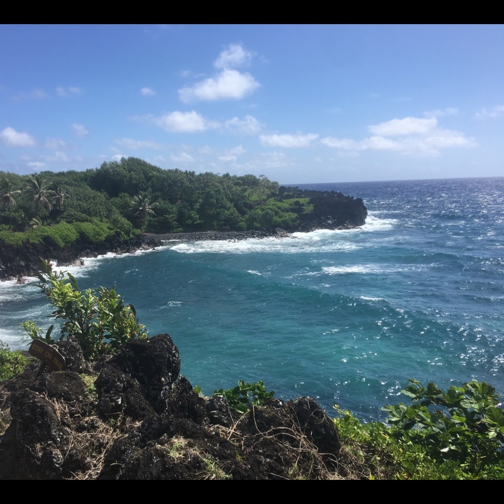 Meet your Posher, Sam